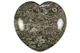Colorful Fossil Crinoid Stems In Marble Heart #311959-1